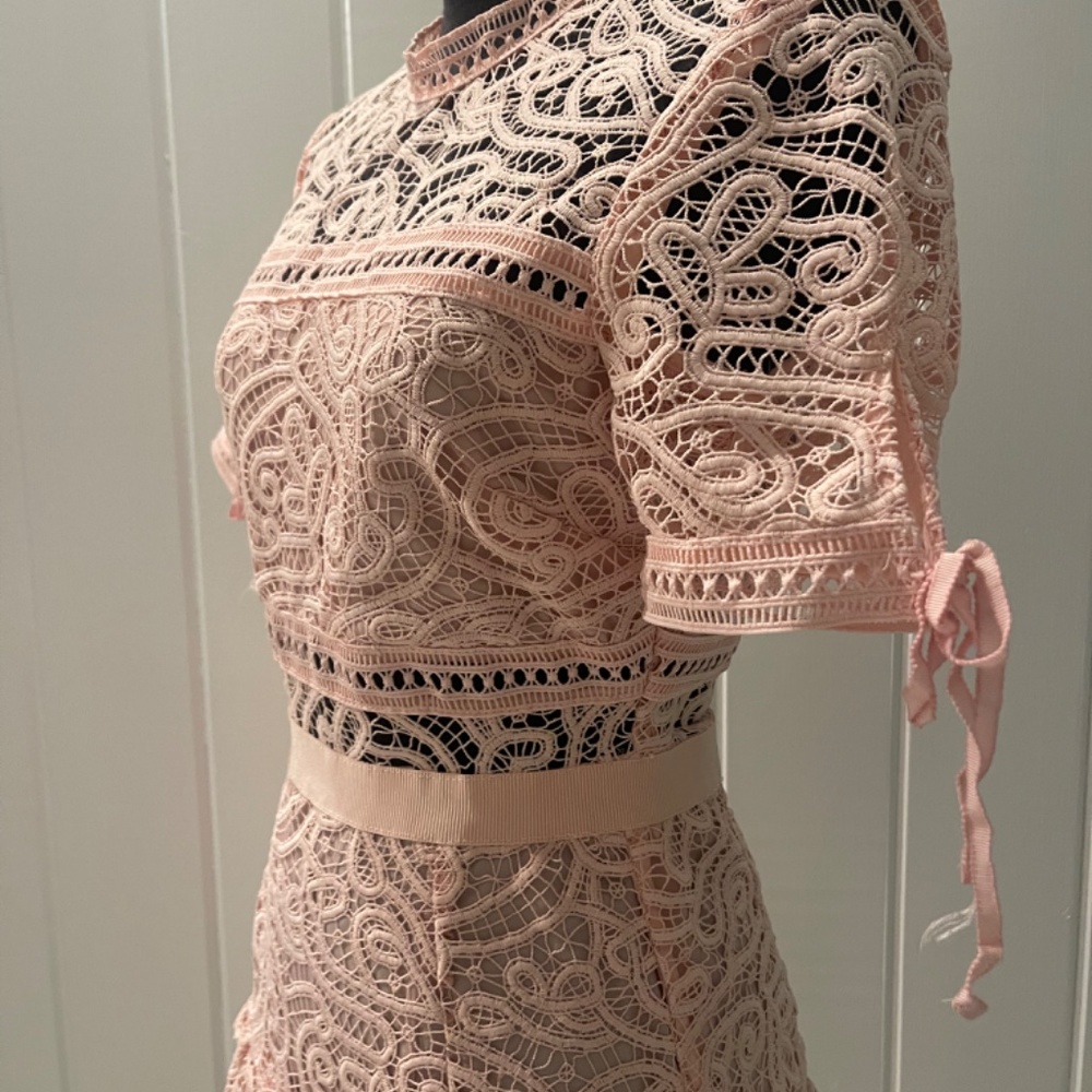Self-Portrait Pink Lace Dress - Picture 4 of 9